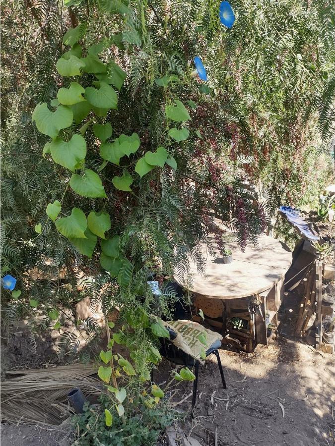Nuevovalpo Hillside Homestay Santiago Kültér fotó