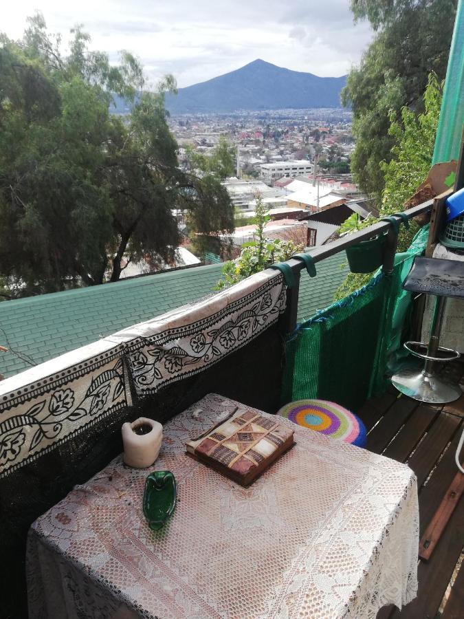 Nuevovalpo Hillside Homestay Santiago Kültér fotó
